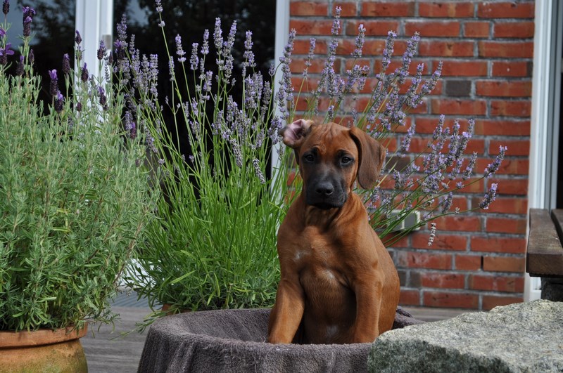 woche10 (42)