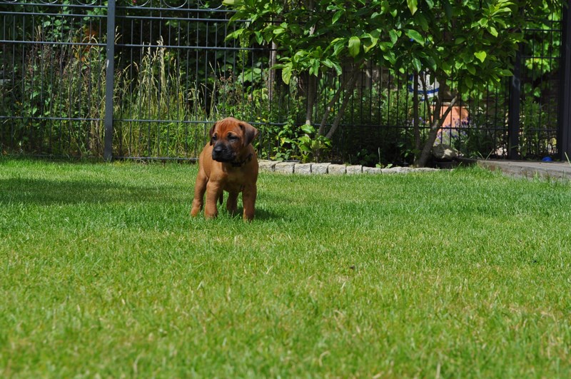 woche4 (27)