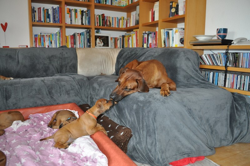 woche5 (16)