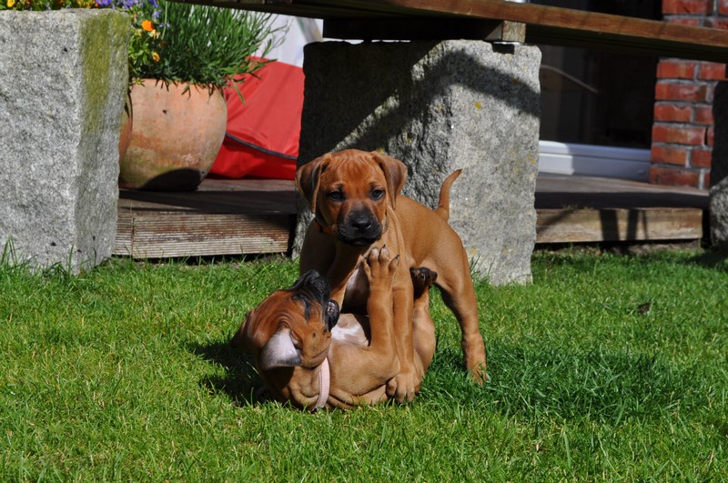woche5 (25)