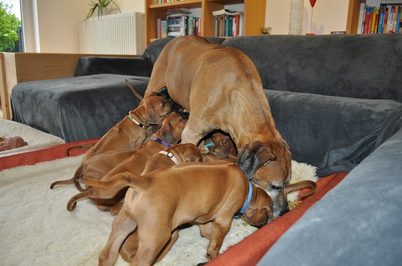 woche6 (5)