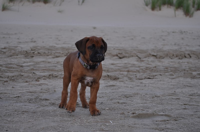 woche7 (13)