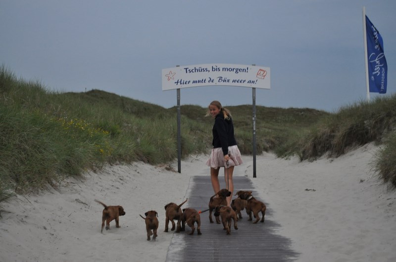 woche8 (20)